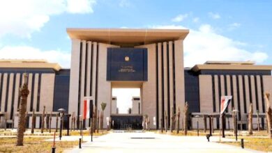 وزارة الخارجية المصرية