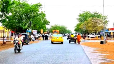 شمال كردفان