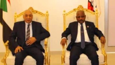 د. عبدالله _درف _مولانا_ وهبي _محمد مختار