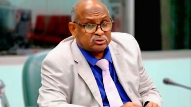 عثمان حسين عثمان